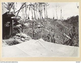 BOUGAINVILLE, SOLOMON ISLANDS. 1944-12-13. THE VIEW FROM GEORGE HILL SHOWING THE DUGOUT AT THE FOREGROUND THE SYSTEM OF DUGOUTS OVERLOOKING LITTLE GEORGE HILL. THE AREA IS WITHIN THE 9 INFANTRY ..