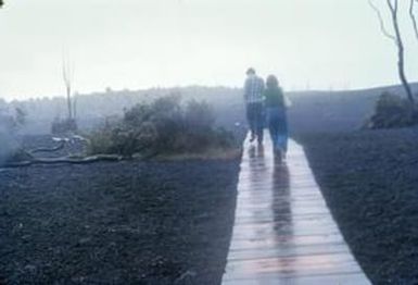 [Desolation Walk in Rain]