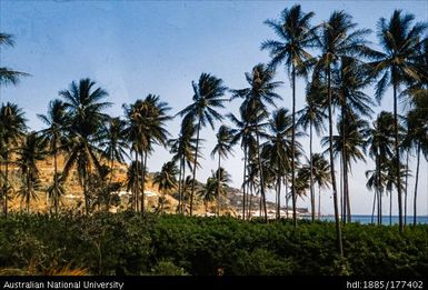 Port Moresby - near Konedobu