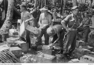 KARKAR ISLAND, NEW GUINEA. 1944-06-02. MEMBERS OF THE 37/52ND INFANTRY BATTALION OPEN CASES TO ASSIST THE DISTRIBUTION OF RATIONS. THE DISTRIBUTION IS BEING ARRANGED BY NO.4 PLATOON, DETAIL ISSUE ..