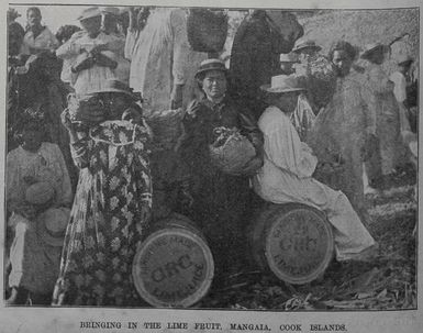 Bringing in lime fruit in Mangaia, Cook Islands