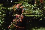 Hibiscus, police constable holding [bougainville] branch, Sohano, Bougainville, [Papua New Guinea], 1962