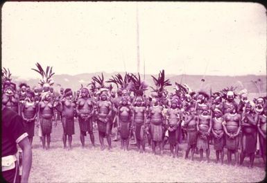 Marriageable girls visiting station on occasion of Assistant District Officer's visit (a daily sight) : Wahgi Valley, Papua New Guinea, 1954-1955 / Terence and Margaret Spencer