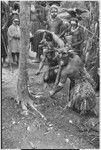 Pig festival, uprooting cordyline ritual: war ally re-enacts killing an enemy by cutting down casuarina tree