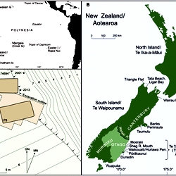 Location maps and archaeological site plan.