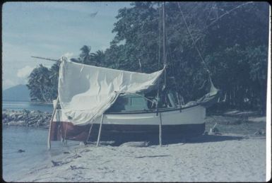 Lisu looking towards wharf and Mapamoiwa village : Mapamoiwa Station, D'Entrecasteaux Islands, Papua New Guinea, 1956-1959 / Terence and Margaret Spencer