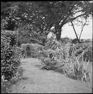 Chinnery's garden with archway cut into hedge, Malaguna Road, Rabaul, New Guinea, ca. 1936 / Sarah Chinnery