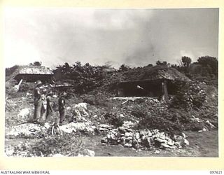 OCEAN ISLAND. 1945-10-02. VIEW OF THREE 6-INCH NAVAL GUNS PLACED ON THE ISLAND BY THE JAPANESE. FOLLOWING THE SURRENDER OF THE JAPANESE TROOPS OF 31/51 INFANTRY BATTALION OCCUPIED THE ISLAND