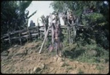 Pig festival, singsing, Tuguma: men cross fence to enter dance ground