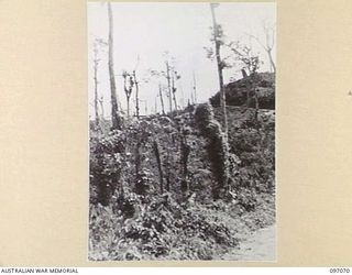 BOUGAINVILLE. 1945-09-26. ARTILLERY HILL, NOW OCCUPIED BY 3 DIVISION TROOPS. IT SHOWS SIGNS OF DEVASTATION FROM ALLIED ATTACKS