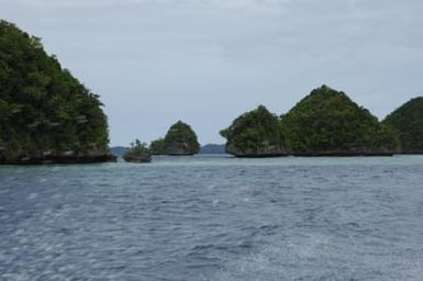 [Assignment: 48-DPA-SOI_K_Palau_6-7-9-07] Pacific Islands Tour: Visit of Secretary Dirk Kempthorne [and aides] to Palau Islands, Republic of Palau [48-DPA-SOI_K_Palau_6-7-9-07__DI12770.JPG]