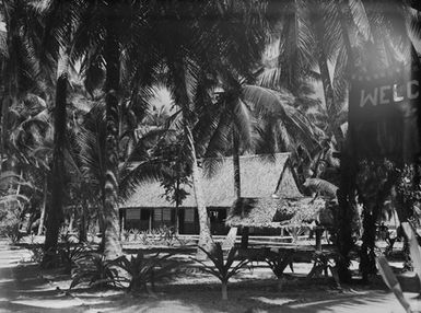 [View of a building with thatch roofing through palm trees]