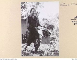 MOROKAIMORO, BOUGAINVILLE, 1945-06-12. TPR N. MATTSON, 2/8 COMMANDO SQUADRON, CARRYING HIS HOME MADE STRETCHER FROM THE STORE TO SET UP CAMP AGAIN AFTER AN EIGHT DAY RECONNAISSANCE PATROL TO THE ..