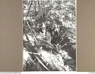 NEW GUINEA. AUSTRALIAN TROOPS IN HASTILY CONSTRUCTED TRENCHES ON THE GONA PERIMETER