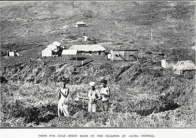 Tests for gold being made on the hillside at Aloha Central