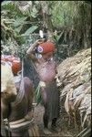 Pig festival, wig ritual: man wears red wig in dedication to the red spirits