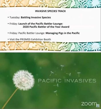 Session 3: Battling Invasive Species (Video)