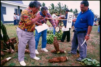 Weighing taro