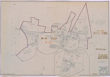 1950 Census Enumeration District Maps - Hawaii (HI) - Maui County - Pukoo - ED 5-60