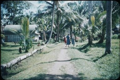 Salamo Station (Methodist Mission) - Sister Marjorie Thurstun : Fergusson Island, D'Entrecasteaux Islands, Papua New Guinea, 1956 / Terence and Margaret Spencer