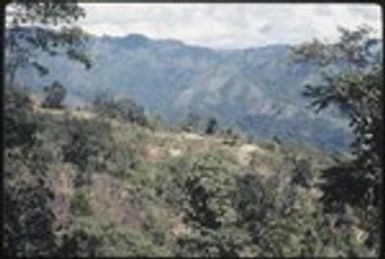 Distant view of houses and gardens