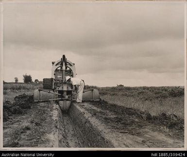 Mr J. D. McLauchlan inspecting a drain, Lakena Estate