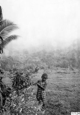 business, boy, rokete, picks, harvests, photography, ph