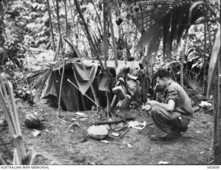 FINSCHHAFEN, NEW GUINEA. 1943-10-30. QX7764 SIGNALMAN H. A. TRANTER OF MILLAA-MILLAA, QLD AND OF HEADQUARTERS, 26TH AUSTRALIAN INFANTRY BRIGADE PHOTOGRAPHED IN FRONT OF HIS COMBINED SLIT TRENCH AND ..