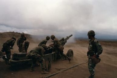 Members of Battery B, 7th Battalion, 8th Field Artillery, Regiment, 25th Infantry Division, fire a 105 mm M102 Howitzer during a live-fire exercise at the Pohakuloa Training Area