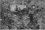 Dispute in Tuguma: men butcher a neighboring group's pig that was killed for damaging a garden