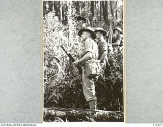 1943-07-08. NEW GUINEA. WAU-MUBO AREA. A PATROL MOVES FORWARD ALONG THE MUBO TRACK. (NEGATIVE BY G. SHORT)