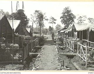 LAE, NEW GUINEA. 1944-11-16. THE WELL KEPT TENT LINES WITH THEIR FLOURISHING GARDENS IN THE CAMP AREA OF THE DISTRICT ACCOUNTS OFFICE, ARMY PAY CORPS