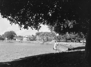 [View of dwellings, Pacific island woman with an umbrella, and a body of water]