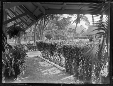 Garden scene, Rarotonga, Cook Islands