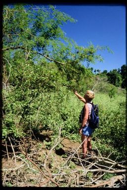 Woman next to flowering ?Acacia