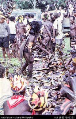 New Guinea - Kisivagloga, Yagaria - Central District, EML - MP for Yagaria