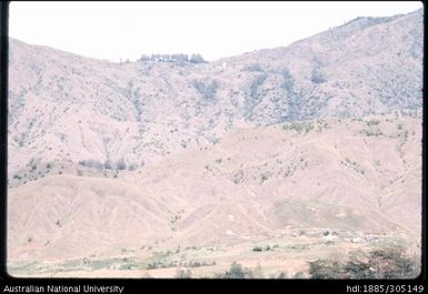 Regenerating bush, Lower Asaro Range