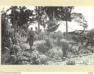 LAE, NEW GUINEA. 1944-07-14. NX171725 CAPTAIN W.S. HEMPHILL, MEDICAL OFFICER, WALKING THROUGH ONE OF THE WELL KEPT GARDENS AT THE 2/7TH AUSTRALIAN GENERAL HOSPITAL