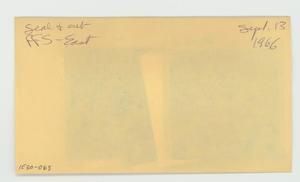 [Seal and cub in Hawaii, envelope IE30-063]