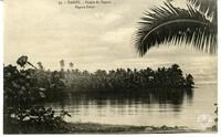 77. - Tahiti - Pointe de PaparaPapara Point