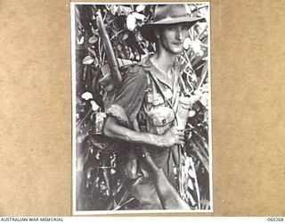 GUY'S POST, FARIA RIVER AREA, NEW GUINEA. 1943-11-08. SX18816 PRIVATE A. A. MAYNE OF PORT ADELAIDE, SA, AND OF THE 2/33RD AUSTRALIAN INFANTRY BATTALION MOVING TO GUY'S POST TO RELIEVE MEMBERS OF ..