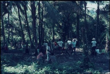 Market (Kieta?) (2) : Bougainville Island, Papua New Guinea, March 1971 / Terence and Margaret Spencer