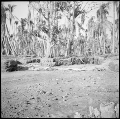 Post eruption landscape damage, Rabaul, New Guinea, 1937 / Sarah Chinnery