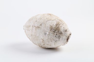 Taro (part 2 of Westminster)