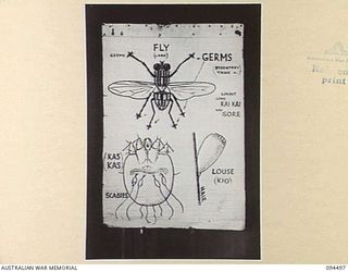 LAE AREA, NEW GUINEA, 1945-08-03. A "PIDGIN" ENGLISH CHART USED FOR THE INSTRUCTION OF NATIVE REGIMENTAL AID POST ORDERLIES. THE PHOTOGRAPH WAS MADE AT THE REQUEST OF HEADQUARTERS AUSTRALIAN NEW ..