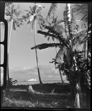 Apia waterfront, Upolu, Samoa, showing the ship Tofua in the background and palm trees in foreground