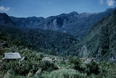 [Landscape of forested mountain ranges in Salawaket Range, Papua New Guinea]