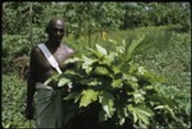 Man with plant