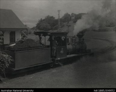 Cane Train