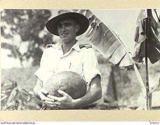 PORT MORESBY, NEW GUINEA. 1944-01-23. THE OFFICER COMMANDING MILITARY HISTORY SECTION, ATTACHED TO HEADQUARTERS, NEW GUINEA FORCE, VX117252 CAPTAIN G.H. NICHOLSON HOLDING A WATER MELON GROWN ..